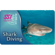 Shark Diving