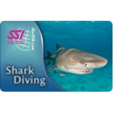 Shark Diving